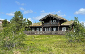 Gorgeous Home In Nissedal With House Sea View